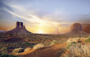ARIZONA